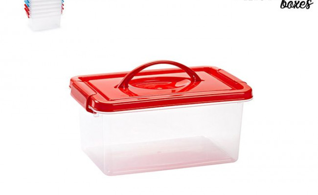 CAJA MINI BOX 4LT