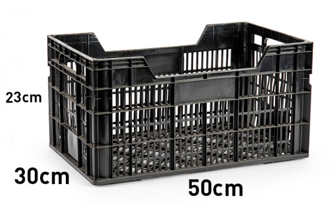 CAJA FRUTAS