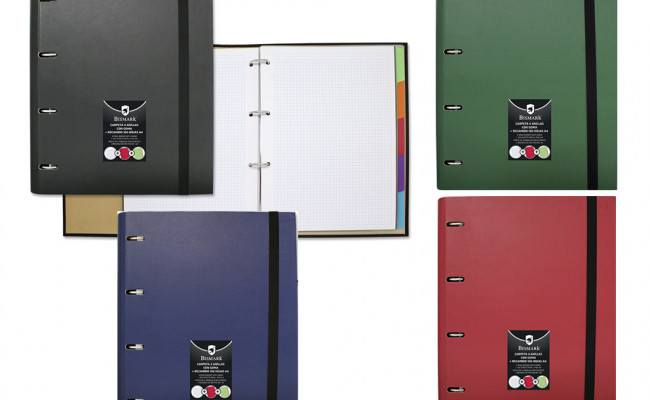 CARPETA BISMARK A4 CARTON C/RECAMB 100H COL SURT.